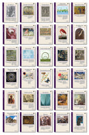 The Math Map Binomials