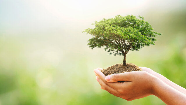 Penelope - Assessment - Kristin Beasley: Tuesdays, 8-10 am EST Beginning 9/16/2025