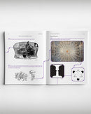 Reasoning Together Puzzles