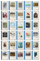 The Math Map Rationals