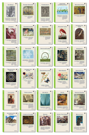 The Math Map Fractions