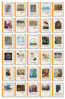 The Math Map Decimals