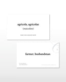 Latin Nouns and Pronouns Flashcards