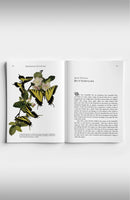 Copper Lodge Library: EXPLORING INSECTS WITH UNCLE PAUL